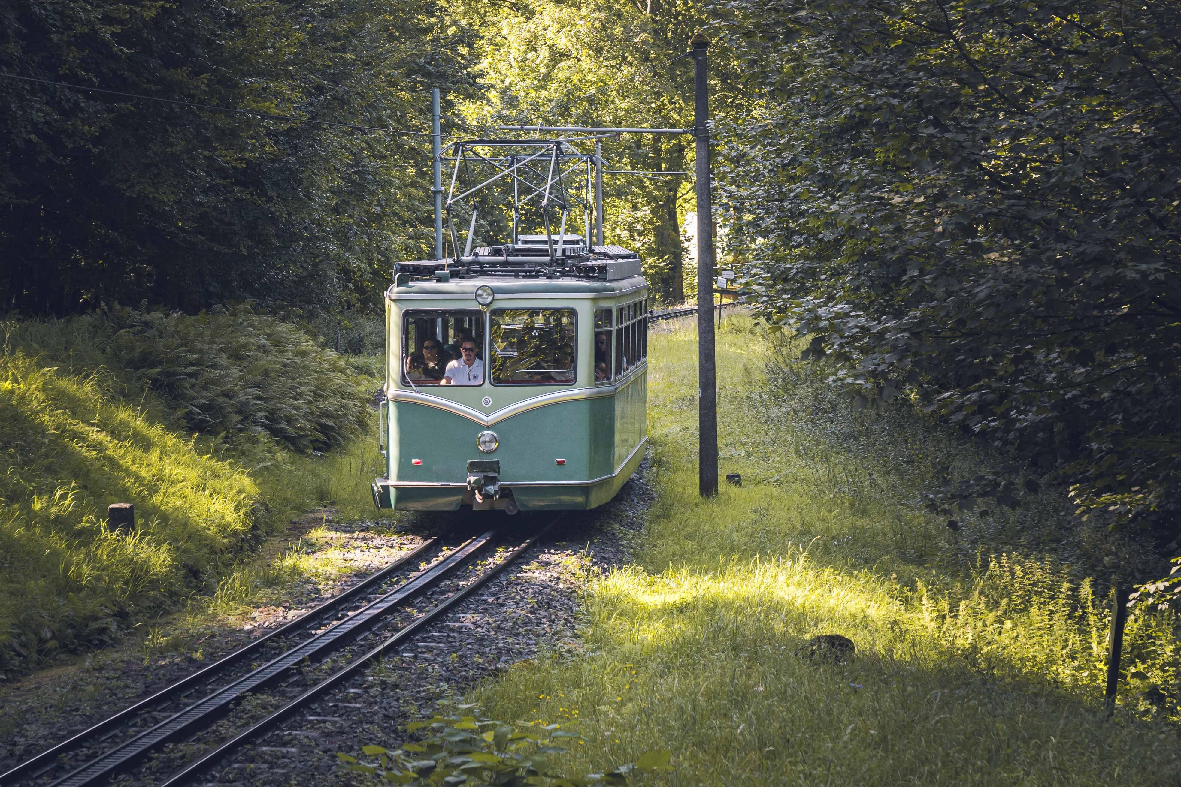 Drachenfelsbahn Strecke Wald Sommer