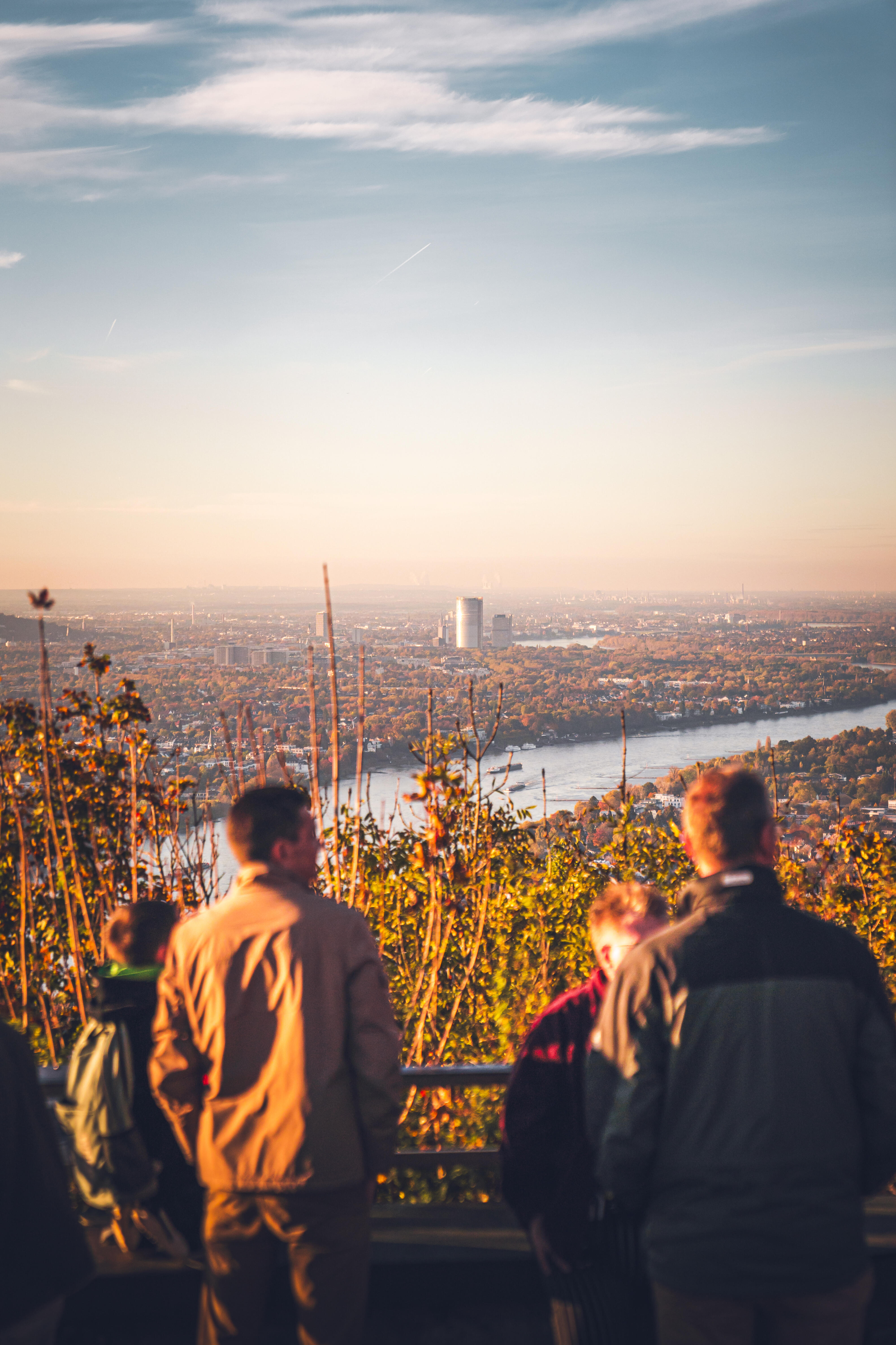 Drachenfels Ausblick Posttower Bonn