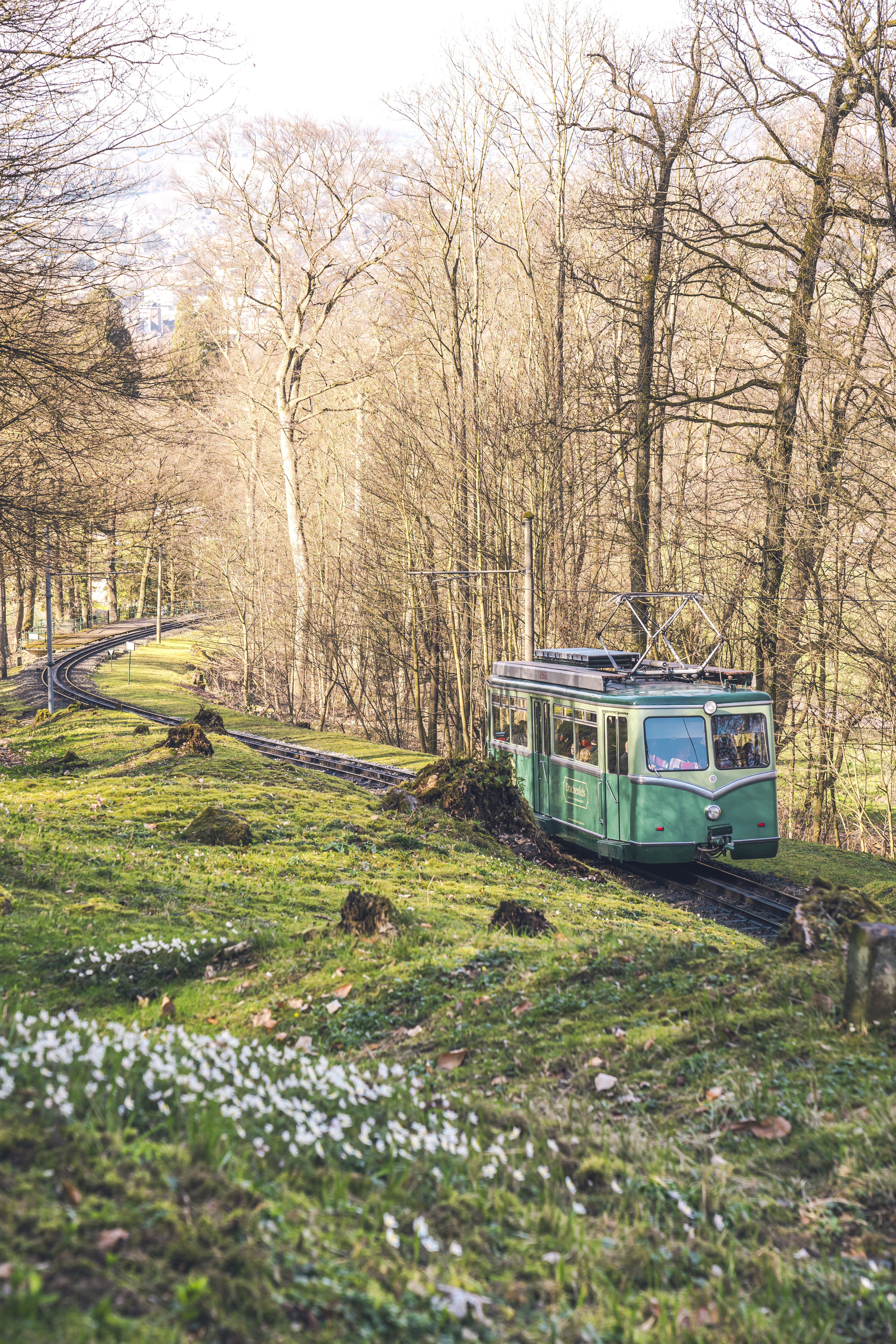 Drachenfelsbahn Spring