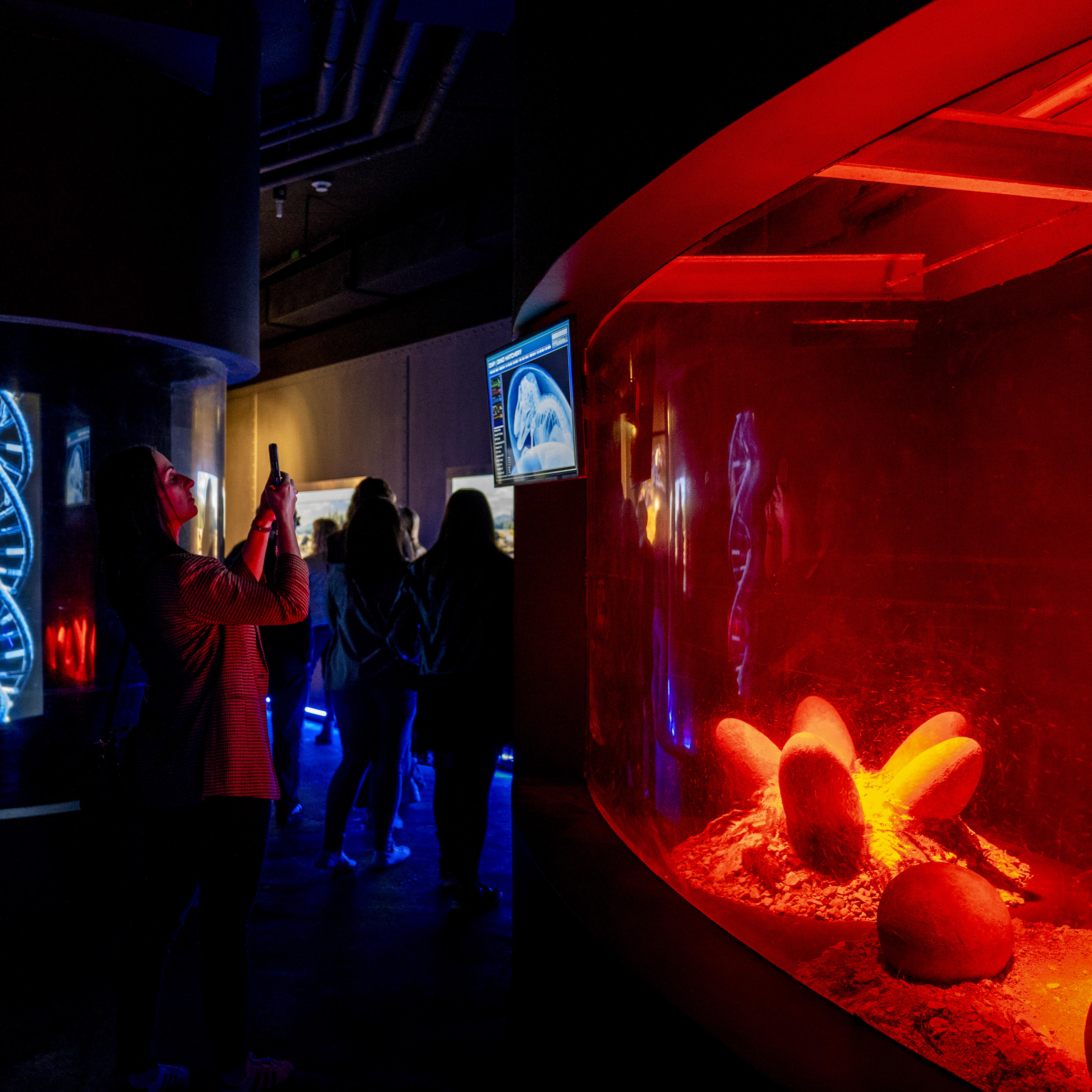 Dino Xperience Koenigswinter Innenansicht Ausstellung