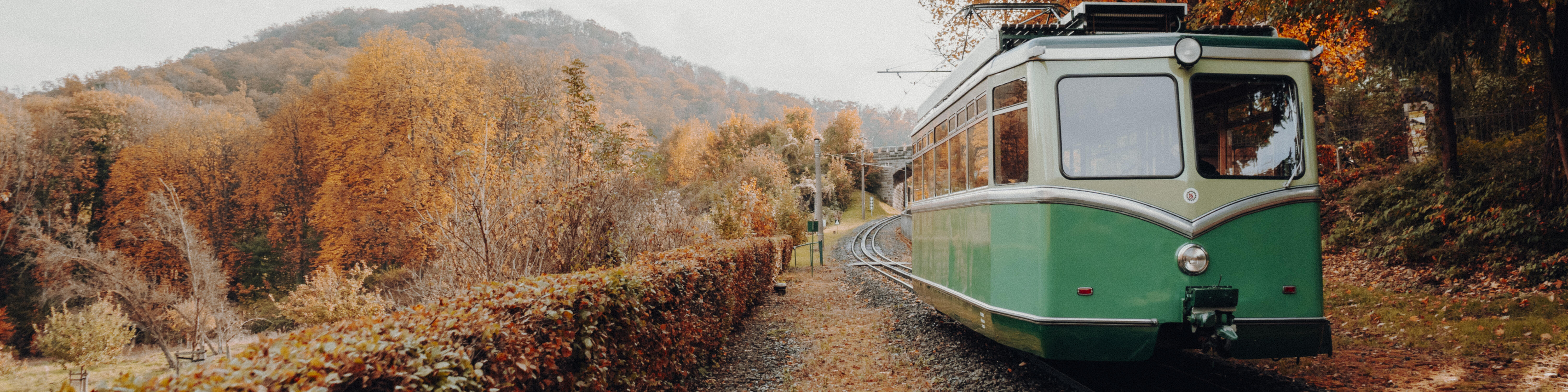 Drachenfelsbahn Fall