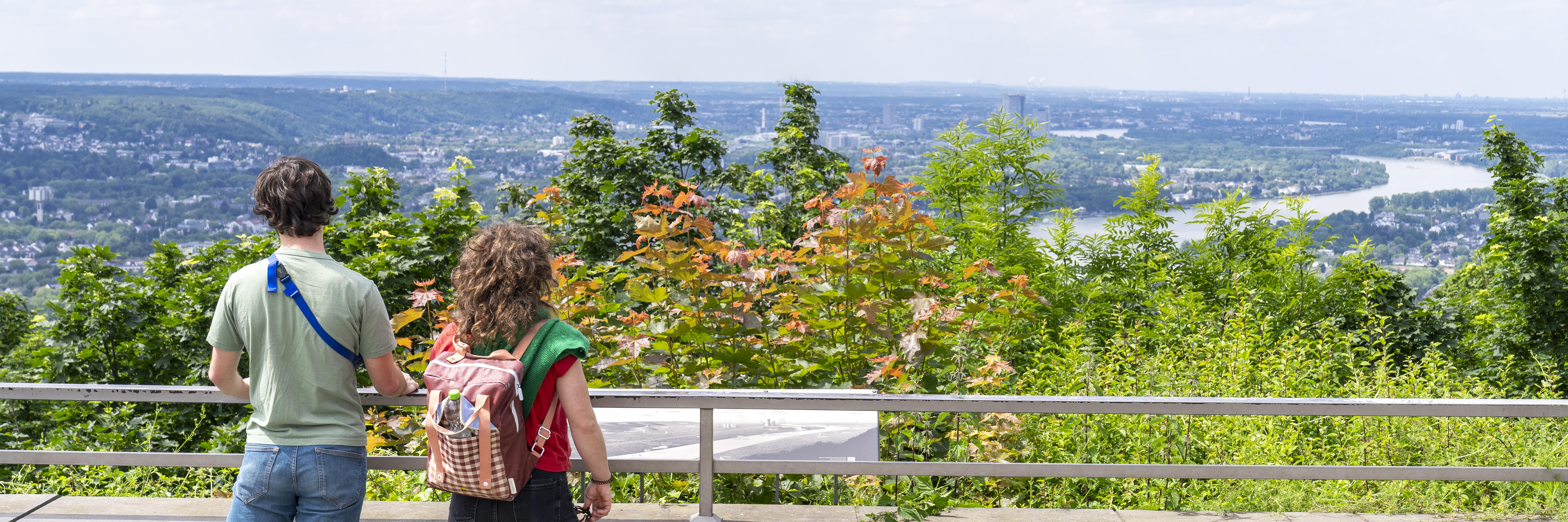 Drachenfels Ausblick Bonn Koeln