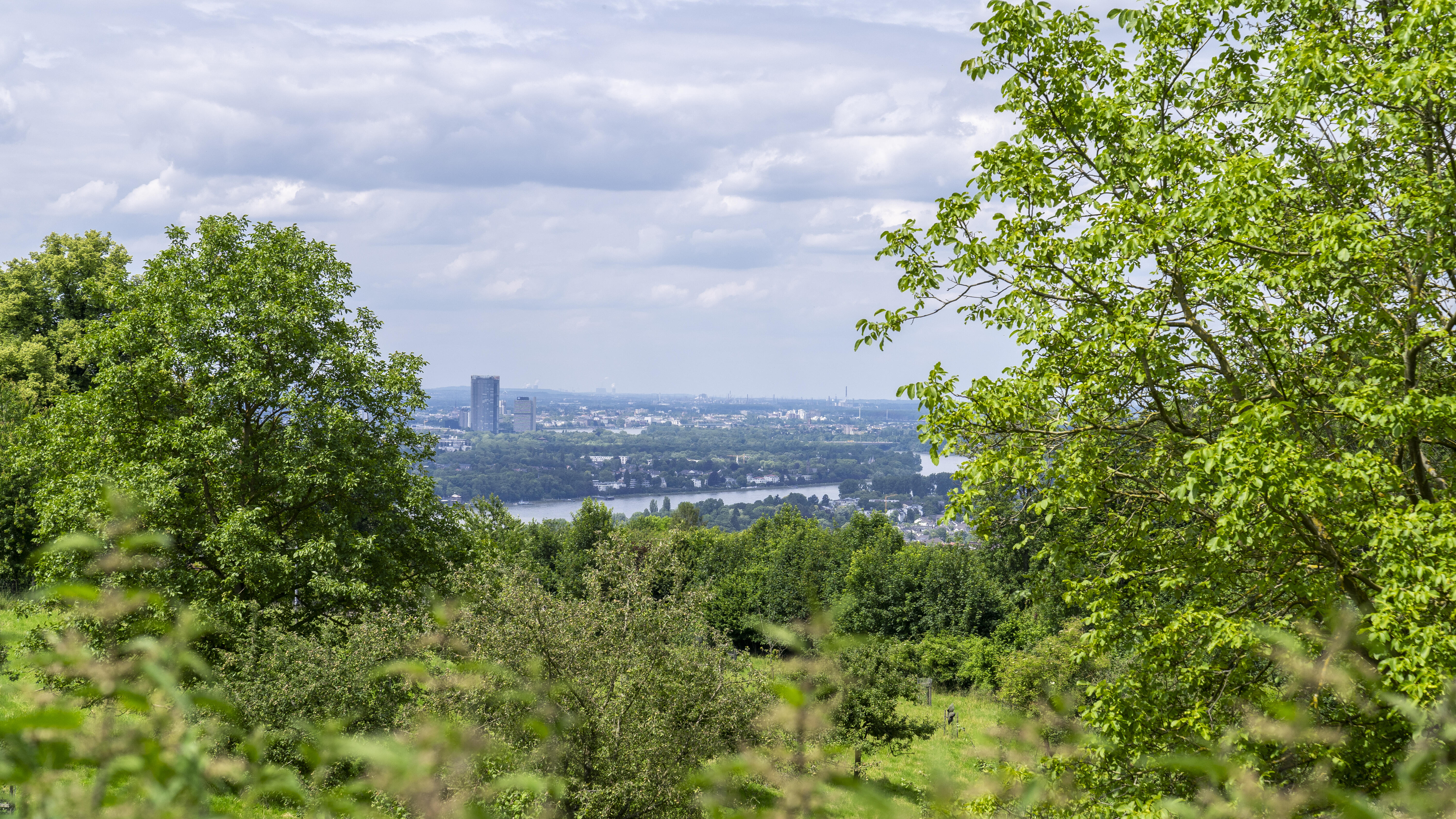 Blick vom Drachenfels auf Bonn