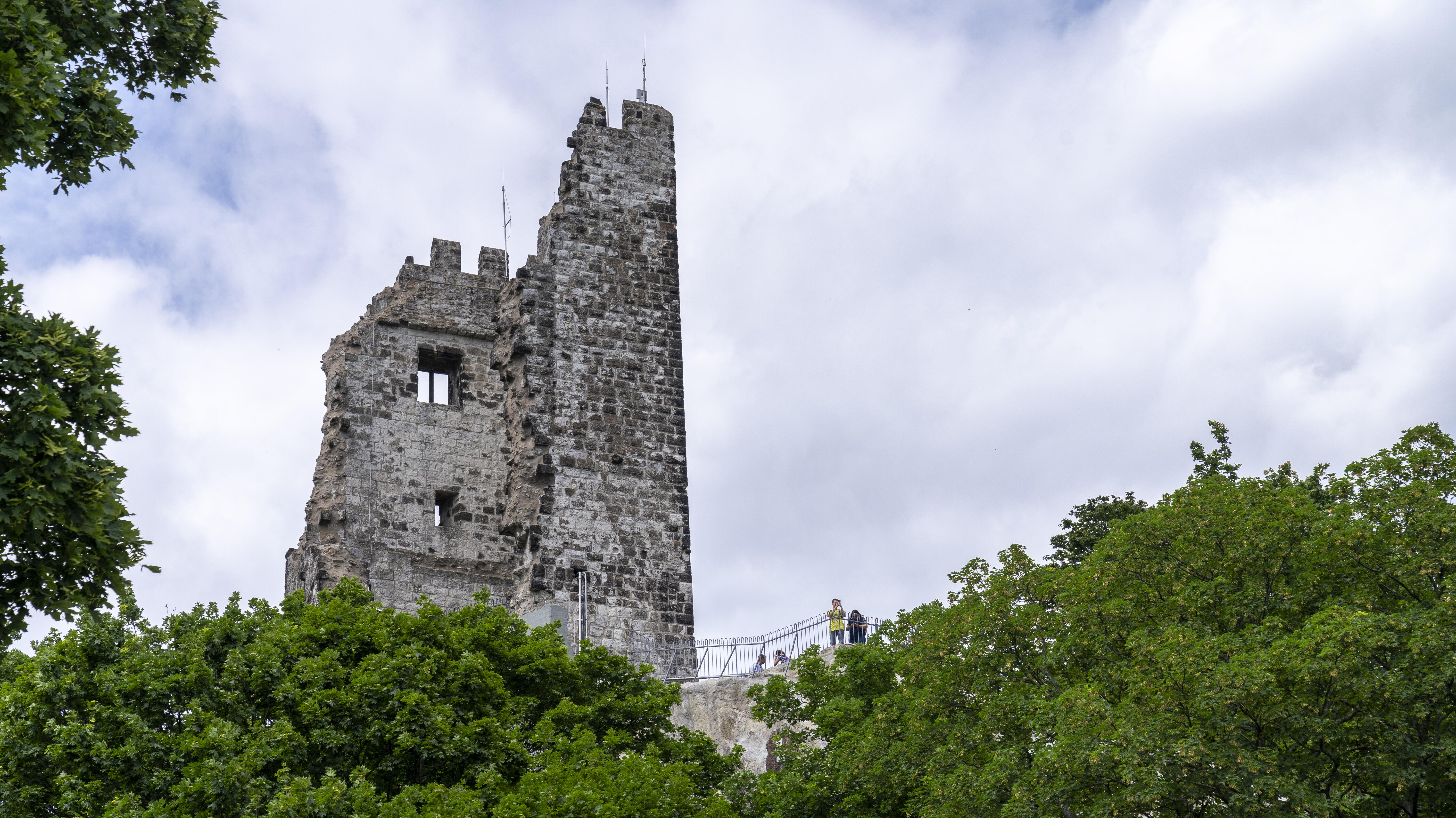 Drachenfels Ruine Sommer
