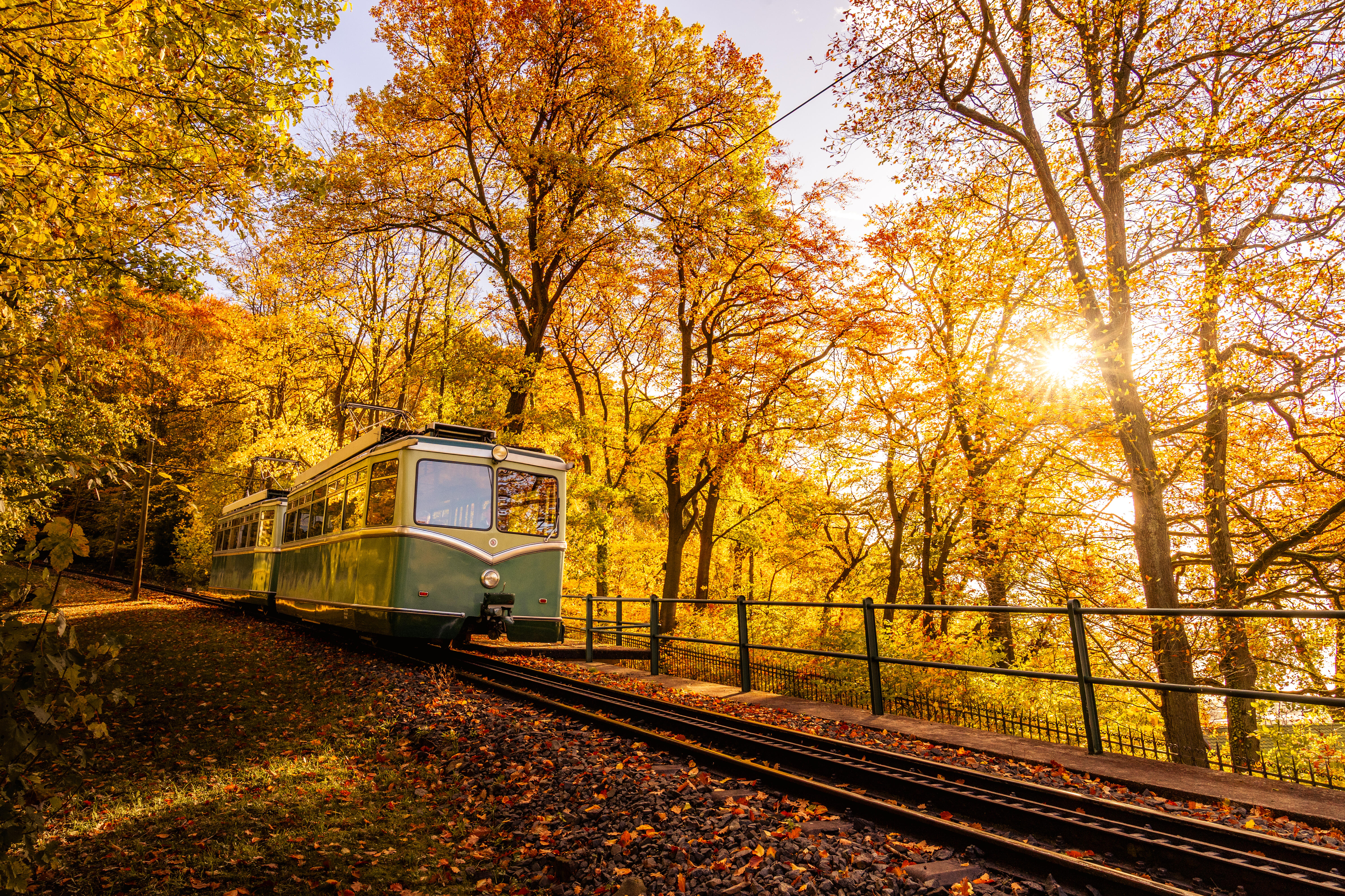 Drachenfelsbahn Herbst im Wald