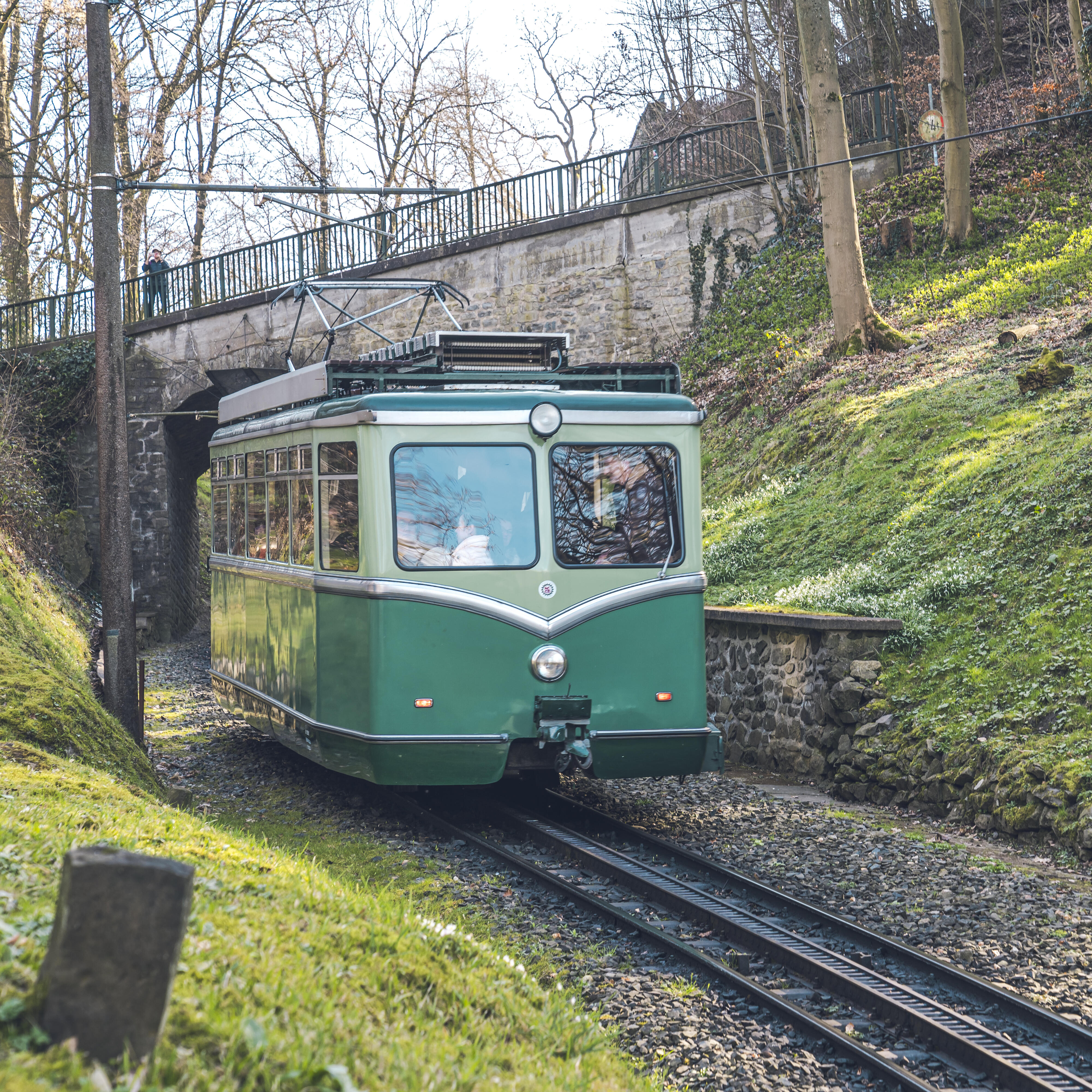 Drachenfelsbahn Frühling