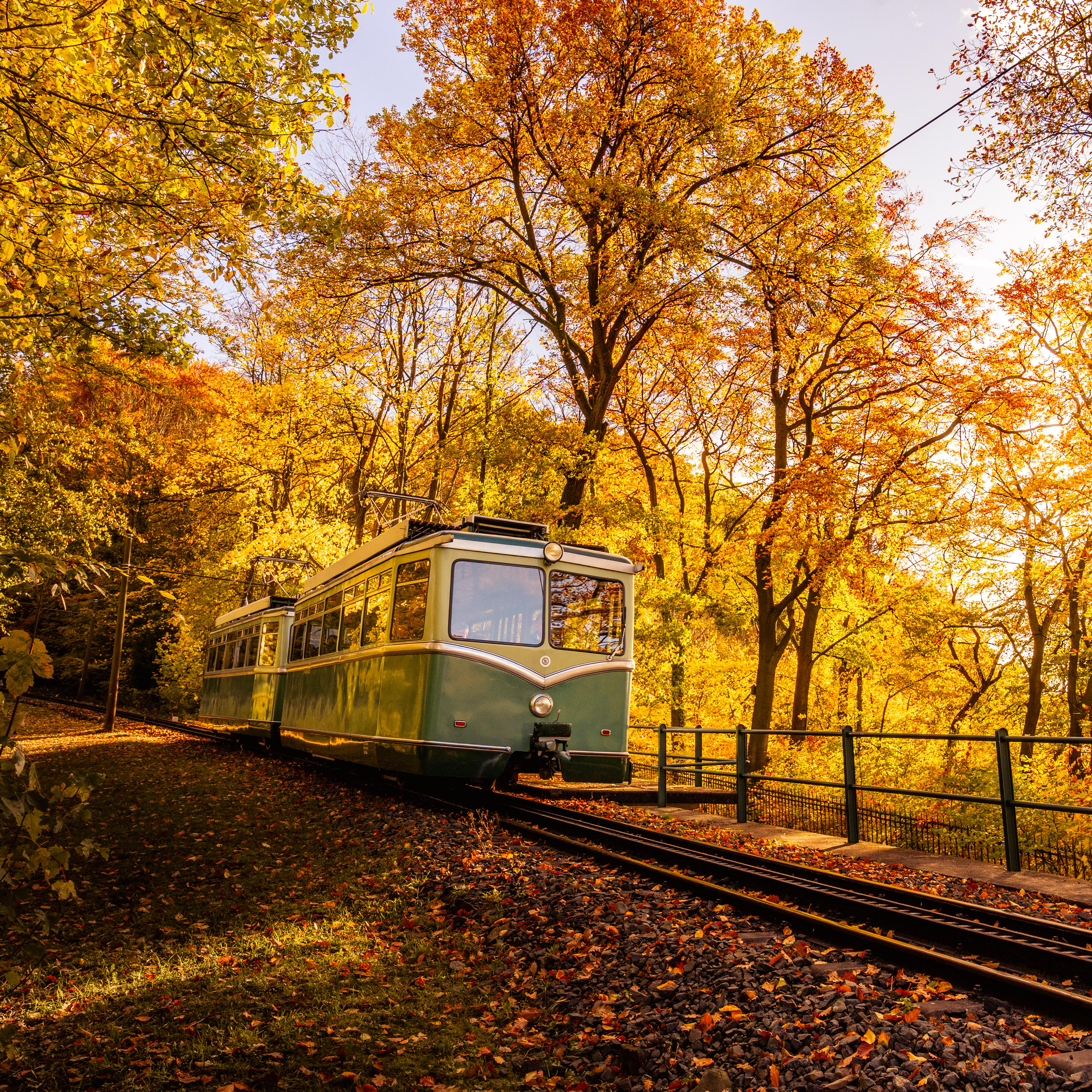 Drachenfelsbahn Herbst im Wald