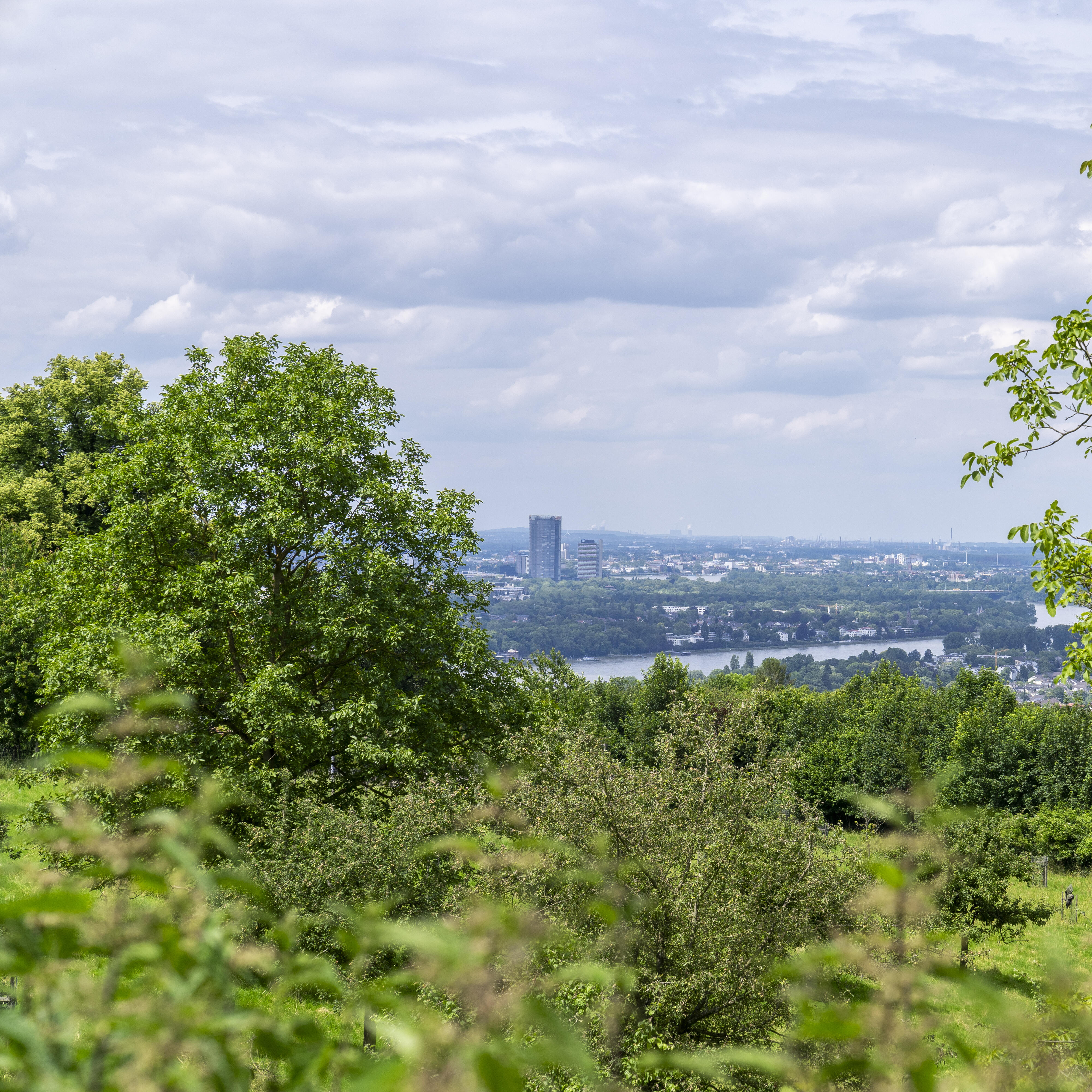 Blick vom Drachenfels auf Bonn