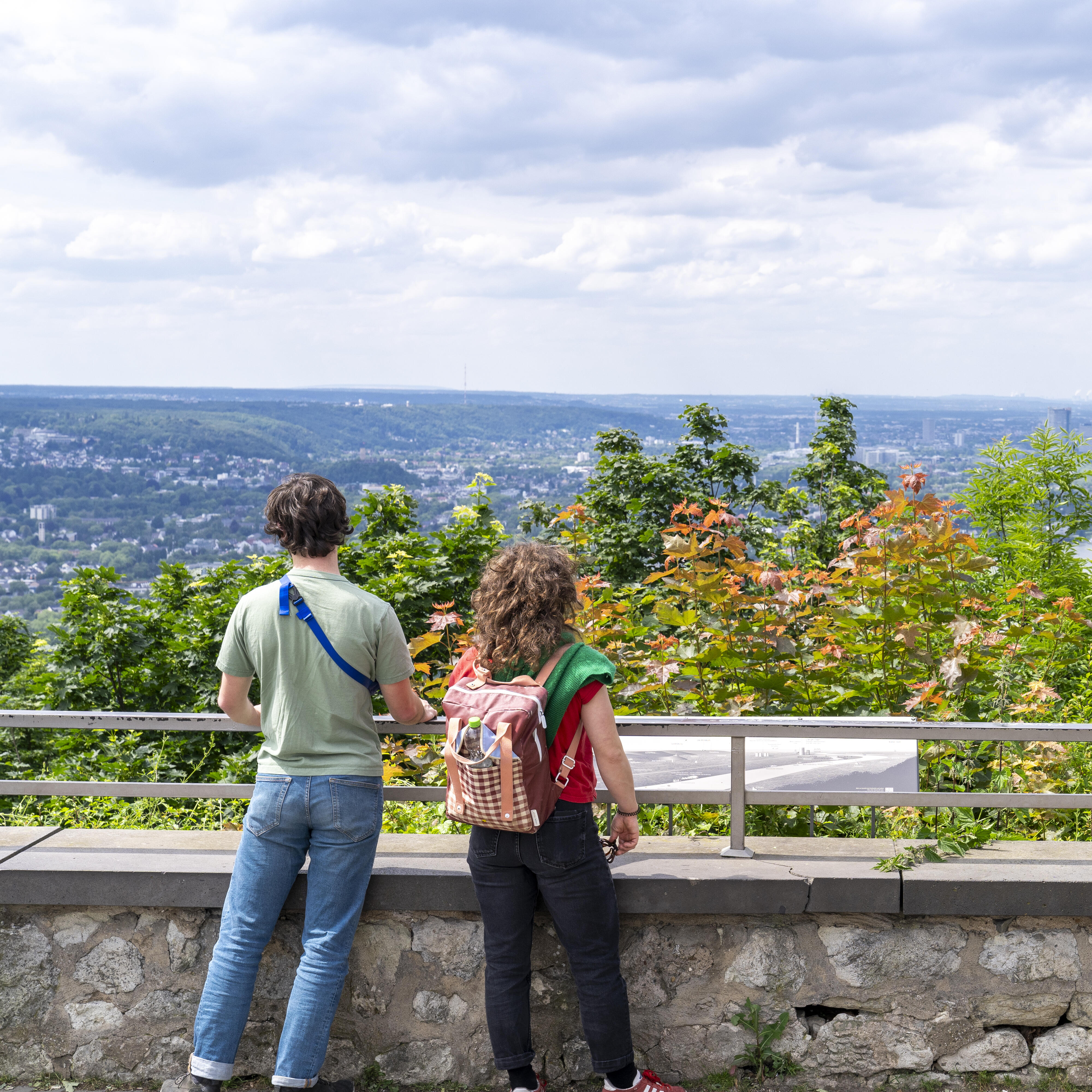 Drachenfels Ausblick Bonn Koeln