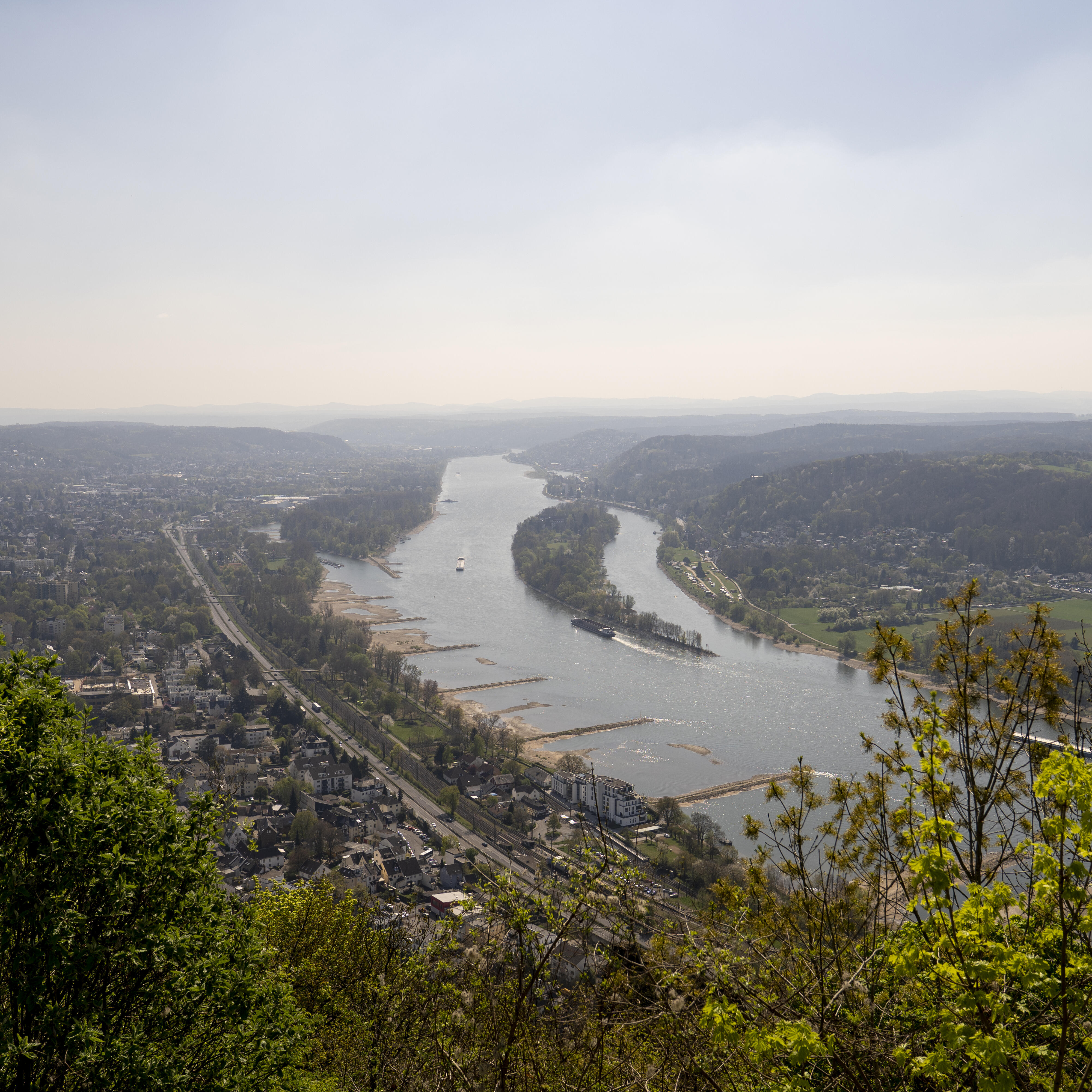 Drachenfels Ausblick Plateau Rhein
